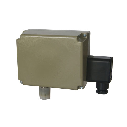  512/9D�����_�P(gu��n) 