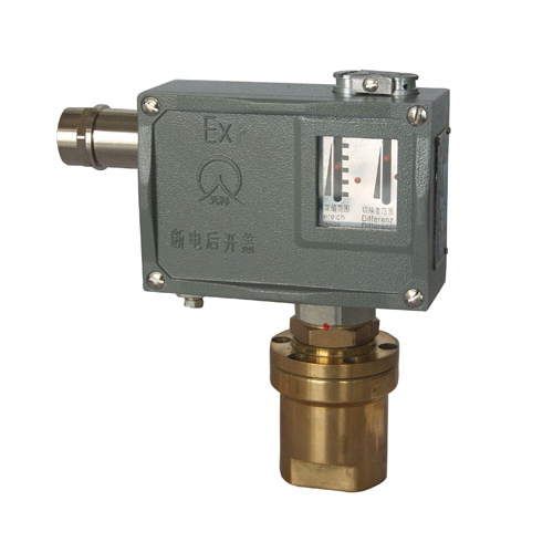  520/7DD������_(k��i)�P(gu��n) 