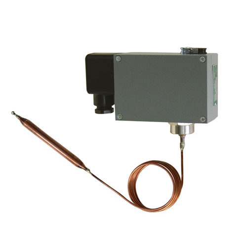  541/7TZ�p�|�c�ض��_�P(gu��n) 