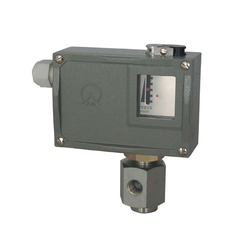  504/7D�����_(k��i)�P(gu��n) 