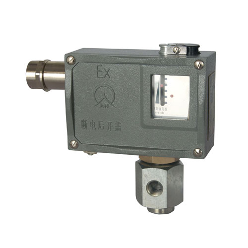  504/7D���������_(k��i)�P(gu��n) 