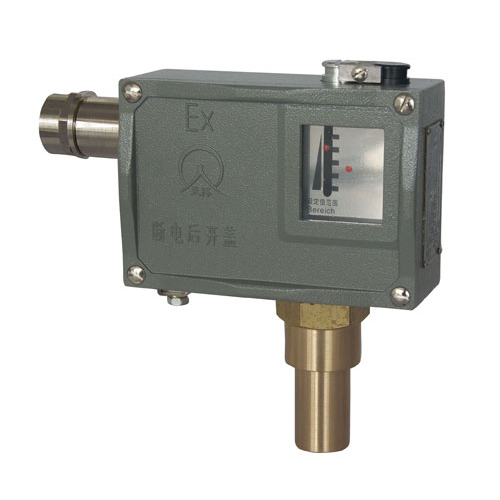  505/7D���������_(k��i)�P(gu��n) 