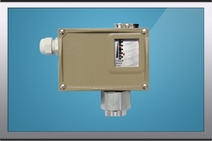 BL-Y501�����͉����_�P