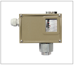 �����͉����_(k��i)�P(gu��n)